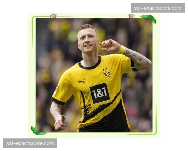 罗伊斯退役前专访:讲述多特蒙德生涯的忠诚与未竟的梦想 罗伊斯退役前专访:讲述多特蒙德生涯的忠诚与未竟的梦想